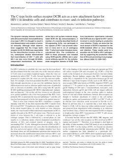 The C-type lectin surface receptor DCIR acts as a
