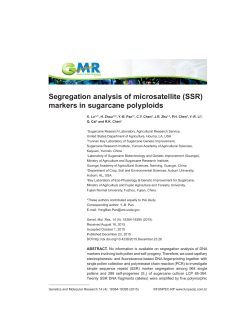 Segregation analysis of microsatellite (SSR) markers