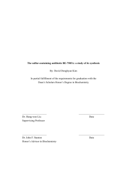 The sulfur-containing antibiotic BE-7585A: a study of its synthesis By
