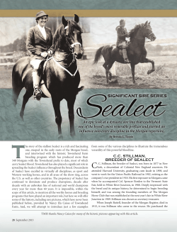 cc stillman, breeder of sealect - American Morgan Horse Association