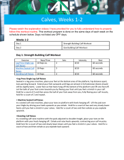 Calves, Weeks 1-2