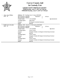 In Custody - Carver County