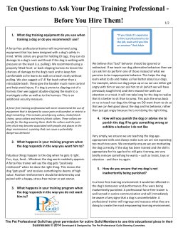 Ten Questions to Ask Your Dog Training Professional