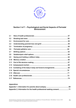 Psychological and Social Aspects of Perinatal Bereavement