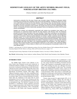 sedimenTary GeoloGy oF The arTex member, brassey Field