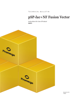 pSP-luc+NF Fusion Vector Technical Bulletin, TB210