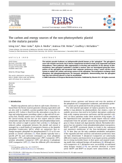 The carbon and energy sources of the non