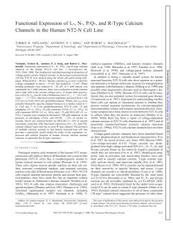 Functional Expression of L-, N-, P/Q-, and R