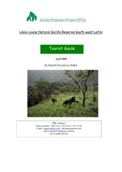 Tourist Guide - Projet Protection des Gorilles