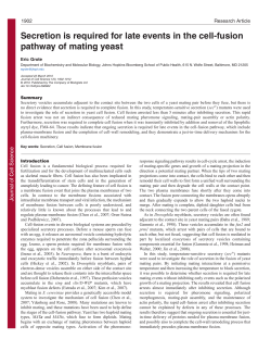 Secretion is required for late events in the cell