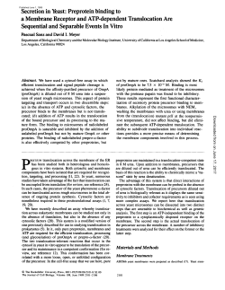 Secretion in Yeast: Preprotein binding to a Membrane Receptor and
