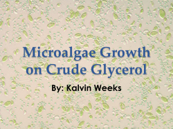 Microalgae Growth on Waste Glycerol