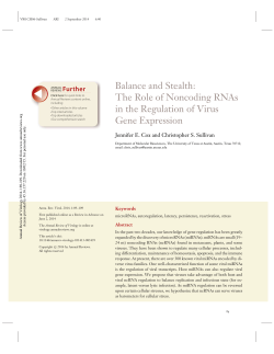 Sullivan`s review on Viral non