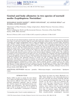 Genital and body allometry in two species of noctuid moths