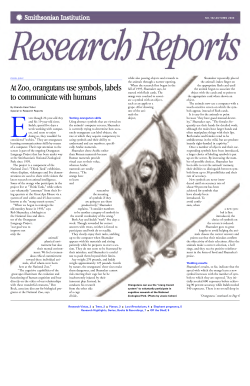 At Zoo, orangutans use symbols, labels to communicate with humans