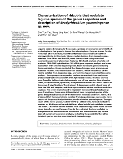 Characterization of rhizobia that nodulate legume species of the
