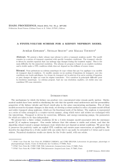 A finite-volume scheme for a kidney nephron model