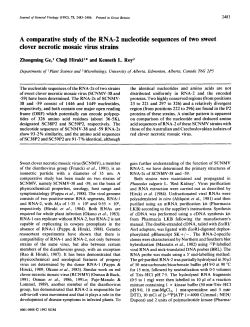 A comparative study of the RNA-2 nucleotide sequences of two
