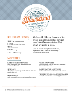 ICE CREAM CONES NOVELTIES