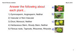 Plant ID Review.notebook