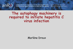 The autophagy machinery is required to initiate hepatitis C virus