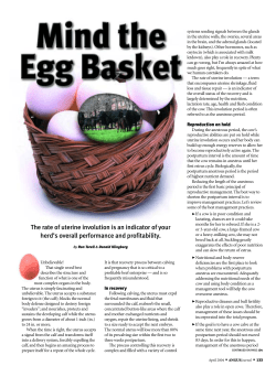 The rate of uterine involution is an indicator of your