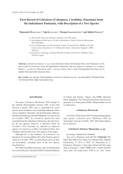 First Record of Lebioderus (Coleoptera, Carabidae, Paussinae) from