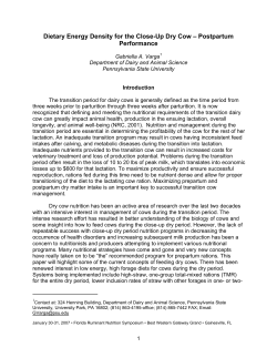 Dietary Energy Density for the Close-Up Dry Cow
