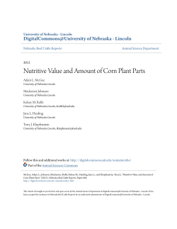 Nutritive Value and Amount of Corn Plant Parts