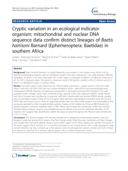 Cryptic variation in an ecological indicator organism: mitochondrial