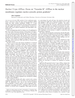 Nuclear V-type ATPase. Focus on - American Journal of Physiology