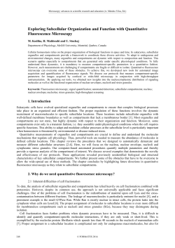 Exploring Subcellular Organization and Function with Quantitative