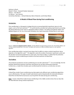 A Model of Blood Flow during Post-conditioning