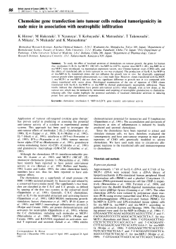 nude mice in association with neutrophilic infiltration