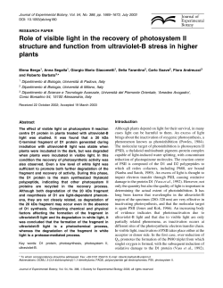 Role of visible light in the recovery of photosystem II structure and