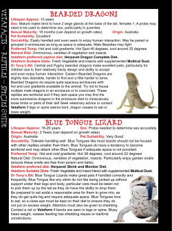 BLUE TONGUE LIZARD BEARDED DRAGONS VETAFActCTS