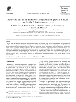 Adenosine acts as an inhibitor of lymphoma cell growth: a major role