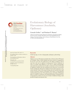 Evolutionary Biology of Harvestmen (Arachnida, Opiliones)