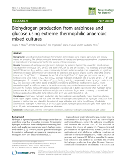 Biohydrogen production from arabinose and glucose using extreme