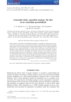 Generalist niche, specialist strategy