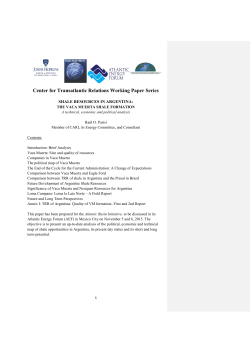 Shale in Argentina - Center for Transatlantic Relations