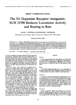 The D1 Dopamine Receptor Antagonist, SCH 23390 Reduces