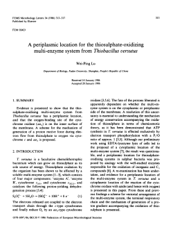 A periplasmic location for the thiosulphate-oxidizing multi