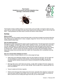 Pest Control Guidelines to prevent and treat infestation from bed