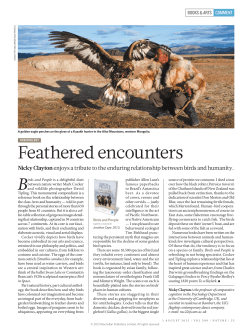 Feathered encounters