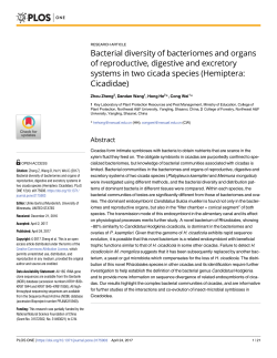 Bacterial diversity of bacteriomes and organs of reproductive