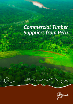 Commercial Timber Suppliers from Peru