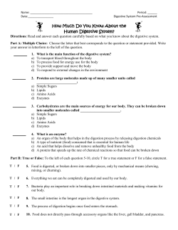 How Much Do You Know About the Human Digestive System?
