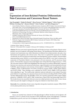 Expression of Iron-Related Proteins Differentiate Non