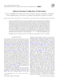 Epidermal Patterning in Seedling Roots of Eudicotyledons